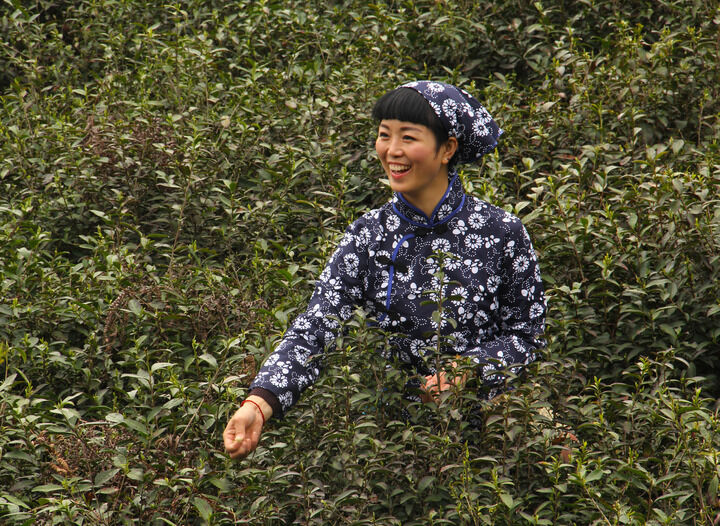 百丽直播5589入口 热门5